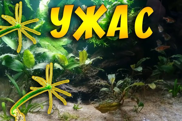 Кракен сайт 1kraken me официальный