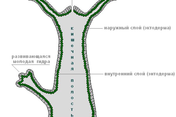 Как через сафари зайти на кракен