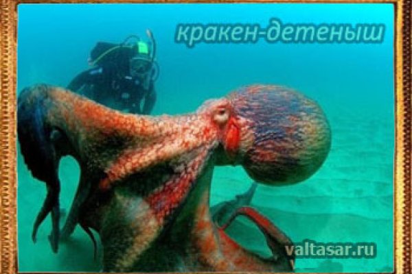 Kraken ссылка tor